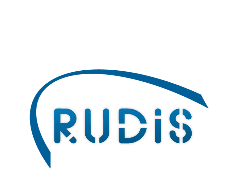 Rudis